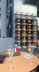 10392436_10153424605276079_823633867510570457_n